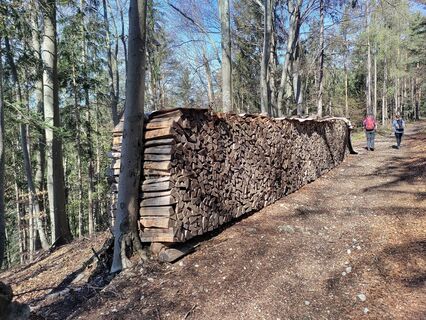 Foto von Lena Eder entlang der Tour