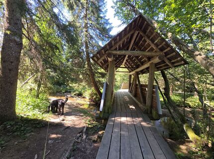Foto von MRDL entlang der Tour