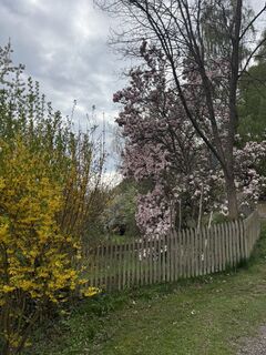 Fotografija s spletne strani Herwig Winkler na poti