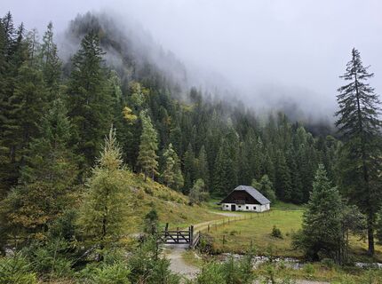 Photo de MRDL le long du parcours