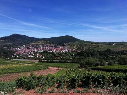 Blick auf Albersweiler