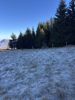 Foto von Michele Segalini entlang der Tour