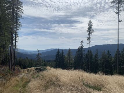 Foto de Melanie Hörzer a lo largo del recorrido