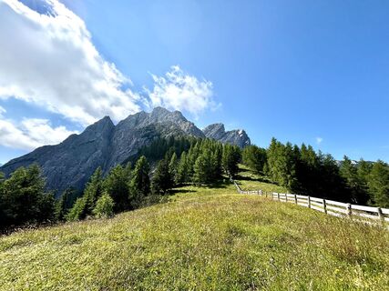 Foto från Petra Egger under resans gång