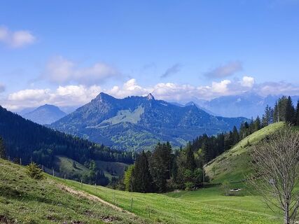 Ausblick unterhalb der Seitenalm zum Heuberg