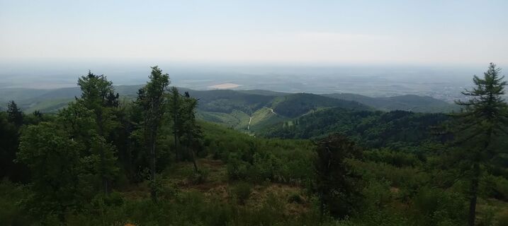 Foto von Peter Gy entlang der Tour