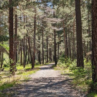 Langlaufloipe von Beaulard