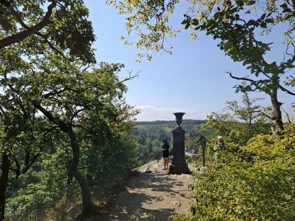 Foto von nordbergschnecke entlang der Tour