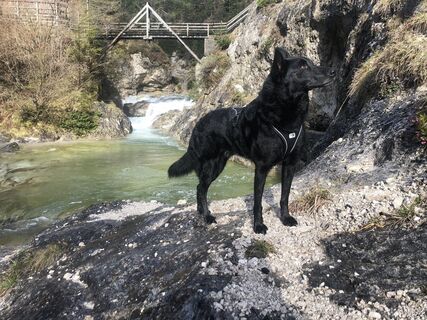 Foto von BenHobo entlang der Tour