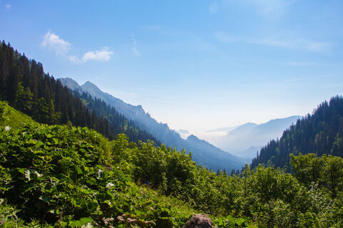 Blick ins Sägertal