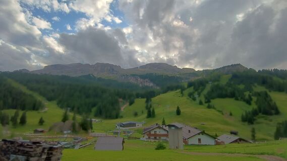 Fotografie z Baumi na trase