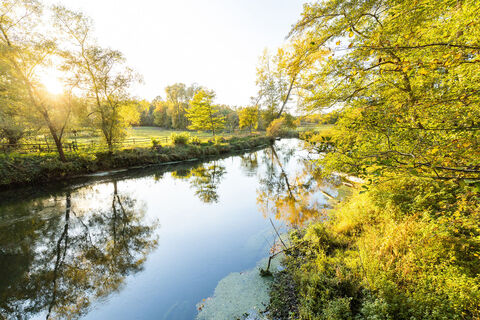 Ilmenau bei Medingen