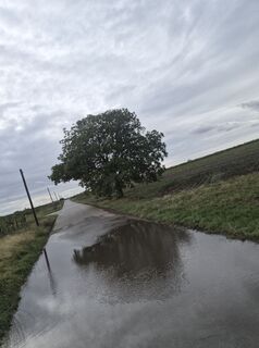 Photo de Markus Hummelbrunner le long du parcours