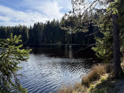 Foto von Norbert Herbig entlang der Tour