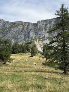 Foto von Verena Stourzh entlang der Tour