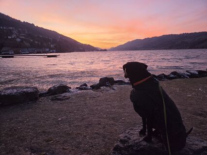 Fotografija s spletne strani Silke S. na poti