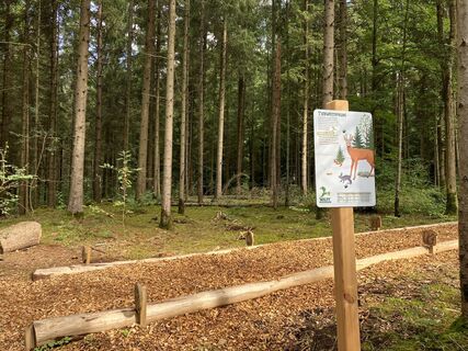 Waldy - Walderlebnisweg Hechingen Tierweitsprung