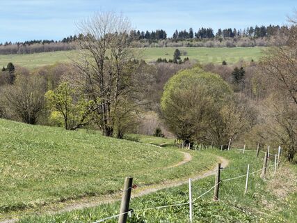 Photo de Frank Neumann le long du parcours