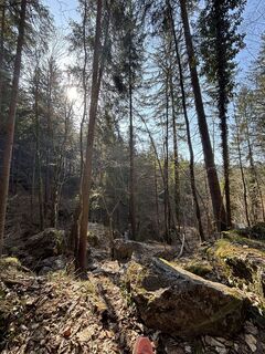 Foto de RS76 a lo largo del recorrido