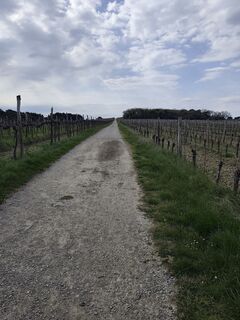 Фото с сайта Stefano Fontanel во время экскурсии