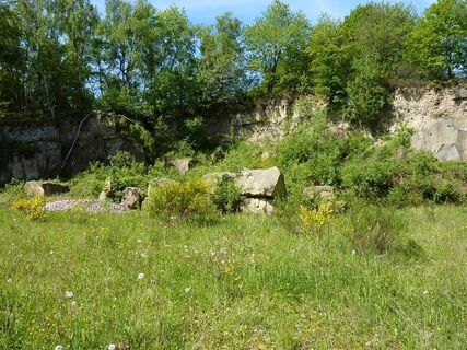 Steinbruch Sulzbachtal