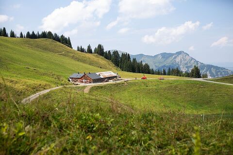 Alpe Wildgunten Mellau