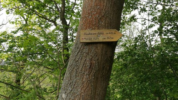 Entlang des Hinteren Röhrensteiges bei Burgk