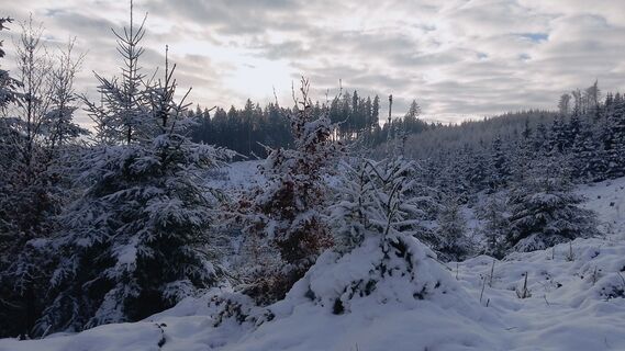 Fotografia z Pur Alexander na trase