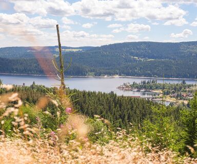 Blick auf den Schluchsee
