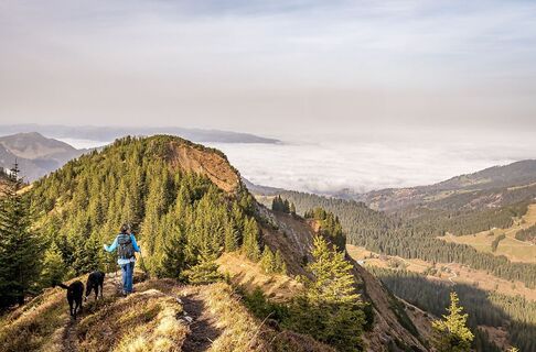 Abstieg von der Hangspitze Mellau
