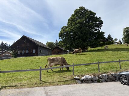 Foto von Dóra Halász 1 entlang der Tour
