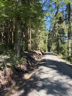 Foto de Ullrich Klemm a lo largo del recorrido