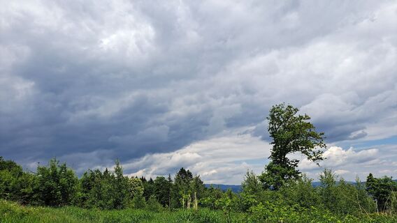 Foto von Anita Lunzer 1 entlang der Tour