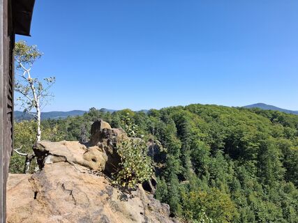 Photo de nordbergschnecke le long du parcours