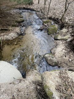 Foto van mark0511 langs de tour