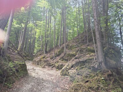 Foto von Christiane Schütz entlang der Tour