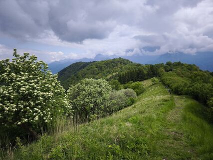 Fotografija s spletne strani Stefano Fabi na poti