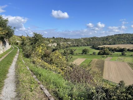 Fotografija s spletne strani holgerwag na poti