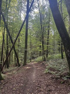 Zemljevid
