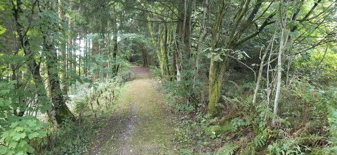 Foto de Michael Ganswind a lo largo del recorrido