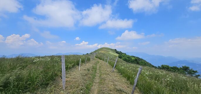 Kuva osoitteesta Nico matkan varrella