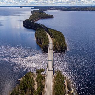 Pulkkilanharju esker im Päijänne-Nationalpark