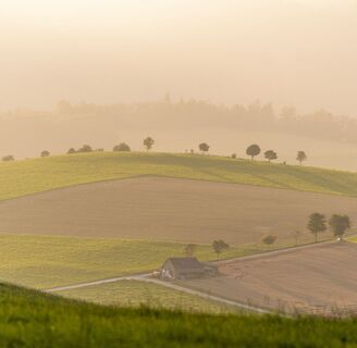 Landschaft im Abendlicht