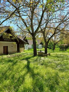 Fotografia z catherina na trase