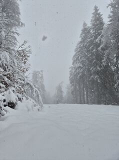 Foto von Kilian Schädler entlang der Tour