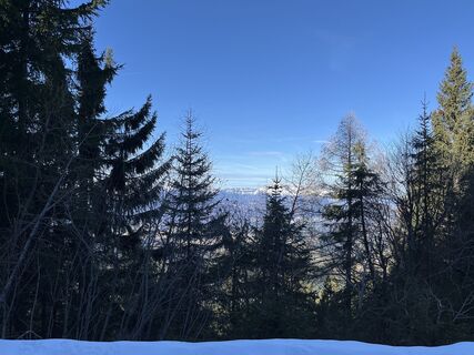Sankt Koloman_Trattberg