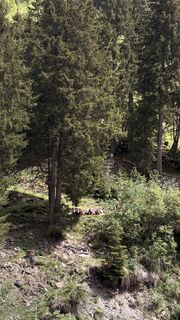 Foto von Luis Traub entlang der Tour