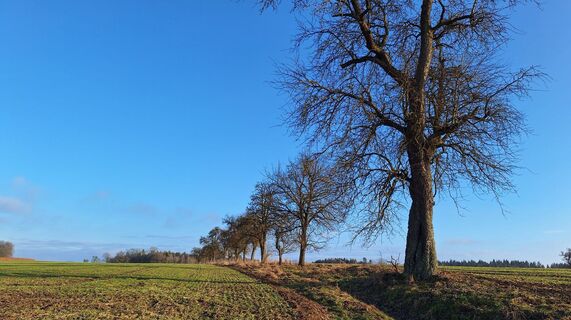 Foto de HeleneEcker a lo largo del recorrido