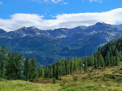 Photo de mmecki le long du parcours