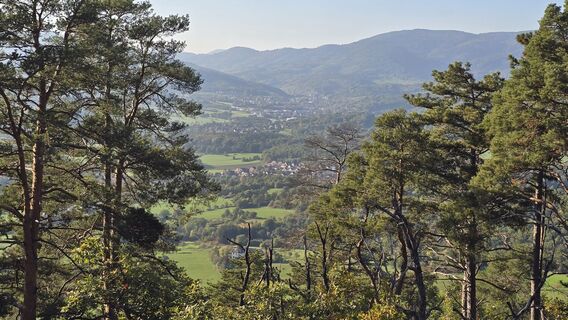 Foto von Katja Senkel entlang der Tour